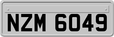 NZM6049