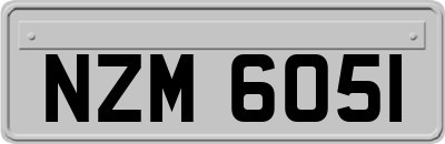 NZM6051