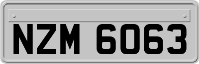NZM6063