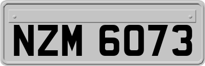 NZM6073