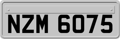 NZM6075