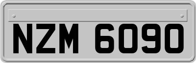 NZM6090