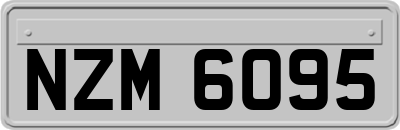 NZM6095
