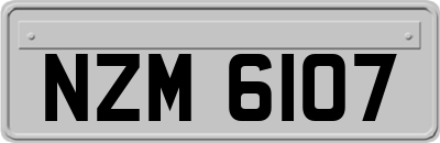 NZM6107