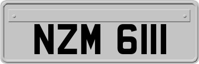 NZM6111