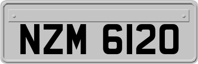 NZM6120