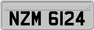 NZM6124