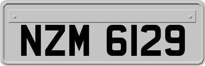 NZM6129