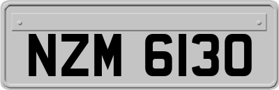 NZM6130