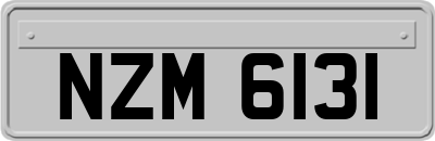 NZM6131