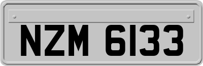 NZM6133