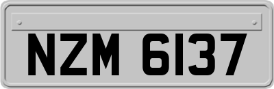NZM6137