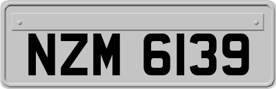 NZM6139