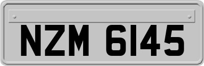 NZM6145