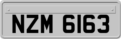 NZM6163