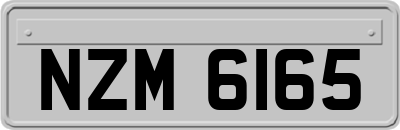 NZM6165