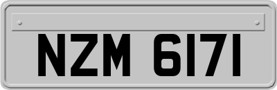 NZM6171