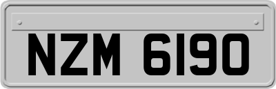 NZM6190