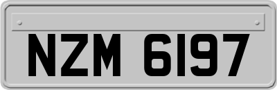 NZM6197
