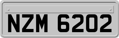 NZM6202