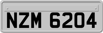 NZM6204