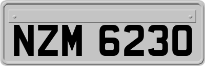 NZM6230