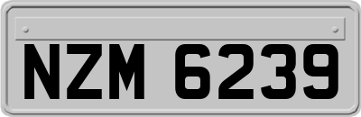 NZM6239
