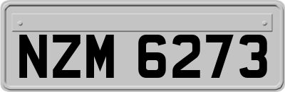 NZM6273