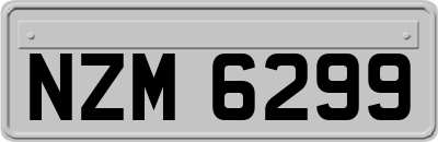 NZM6299