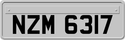 NZM6317