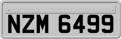 NZM6499
