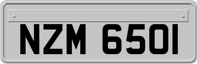 NZM6501