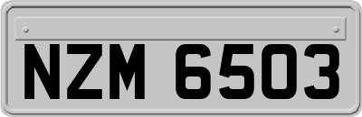 NZM6503