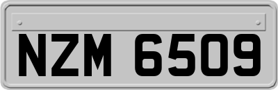 NZM6509