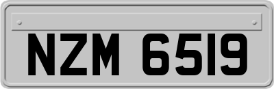 NZM6519