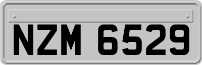 NZM6529
