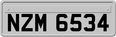 NZM6534