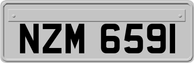 NZM6591