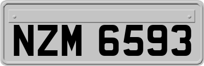 NZM6593