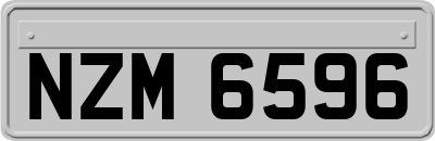 NZM6596