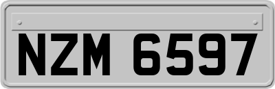NZM6597