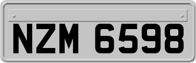 NZM6598