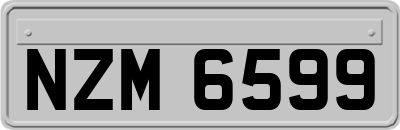 NZM6599