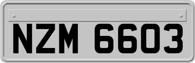 NZM6603
