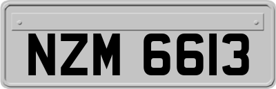 NZM6613