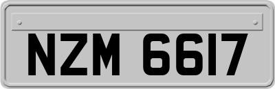 NZM6617