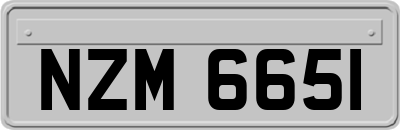 NZM6651