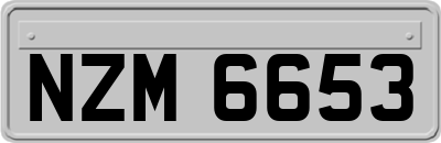 NZM6653