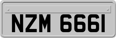 NZM6661