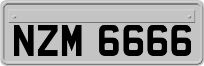 NZM6666